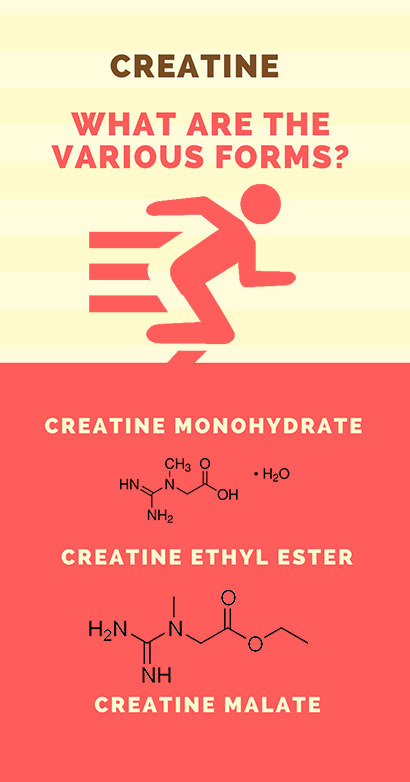 What are the forms of Creatine 