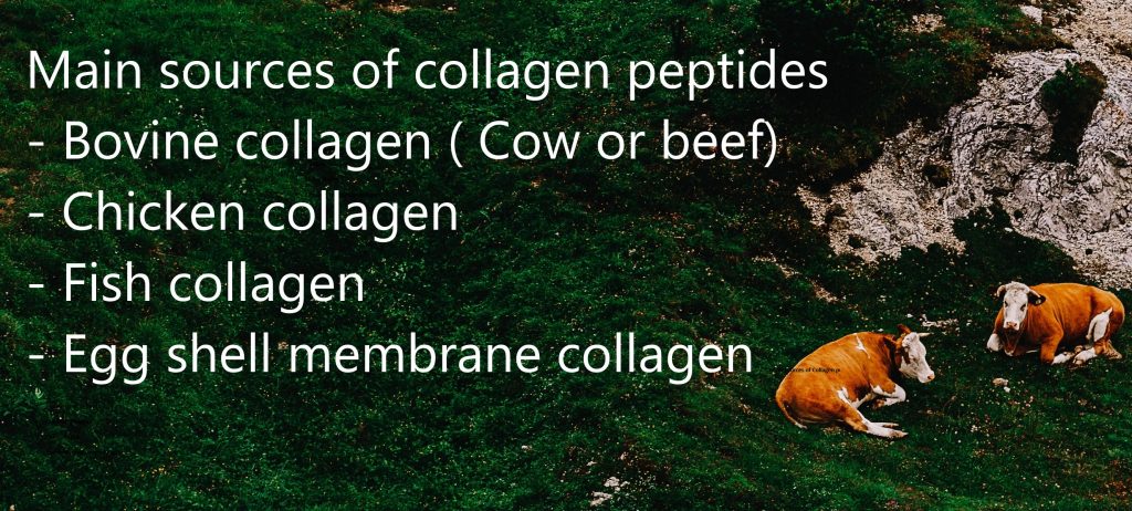 A&A Pharmachem Collagen Peptide sources