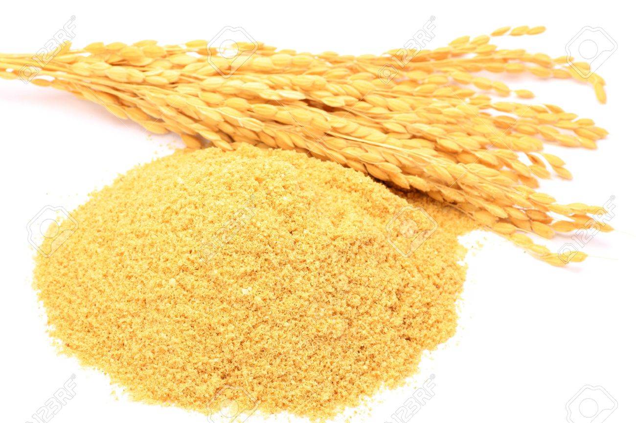 rice bran research paper