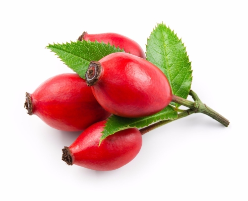 rosehip-extract-a-a-pharmachem