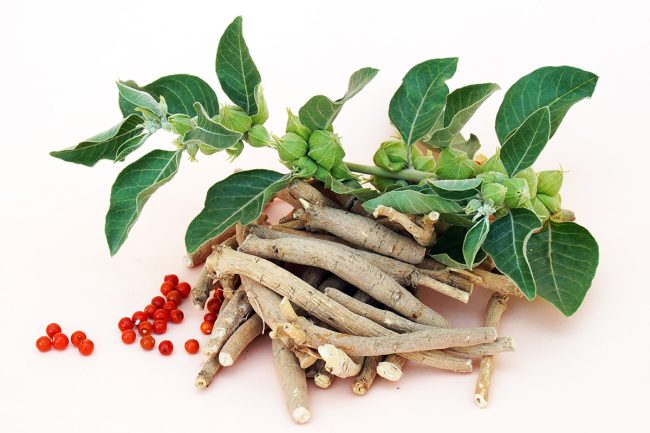 Ashwagandha