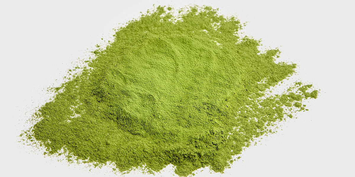AA-Pharmachem-Green-Tea-Extract Green Tea Extract