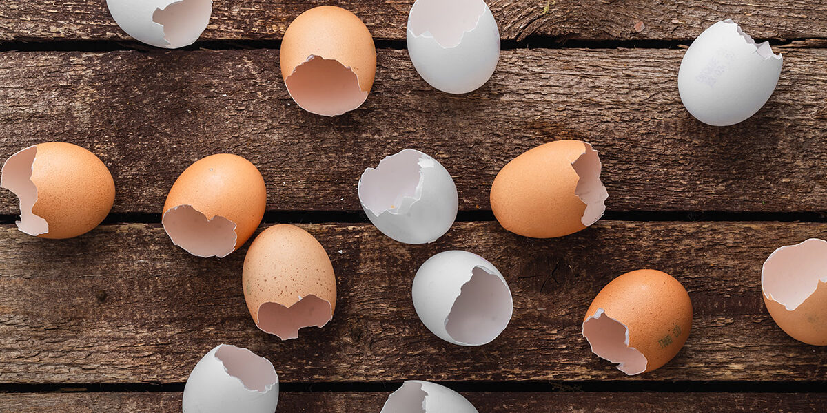 NEM® Eggshell Membrane