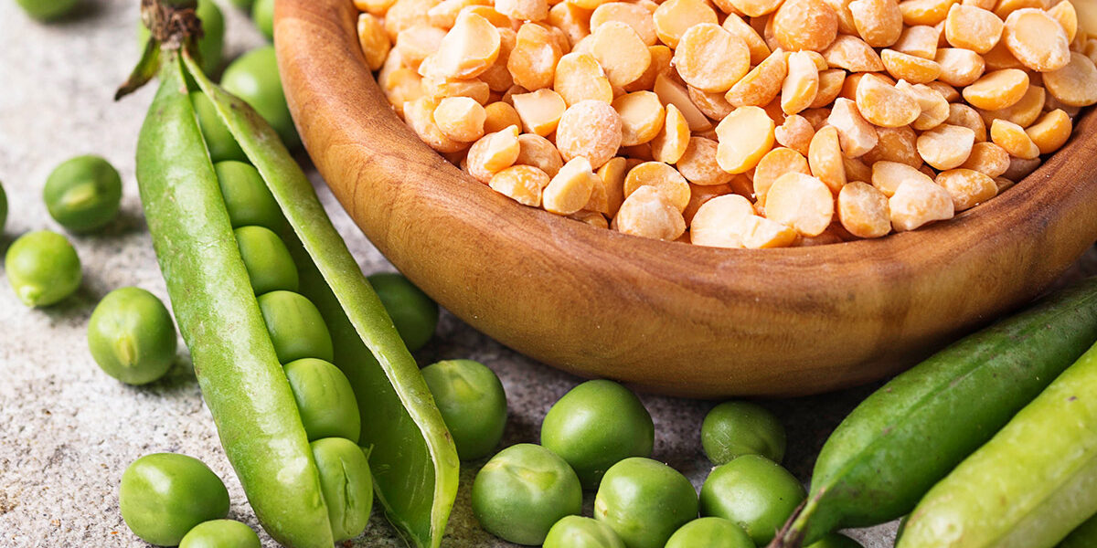Pea Protein