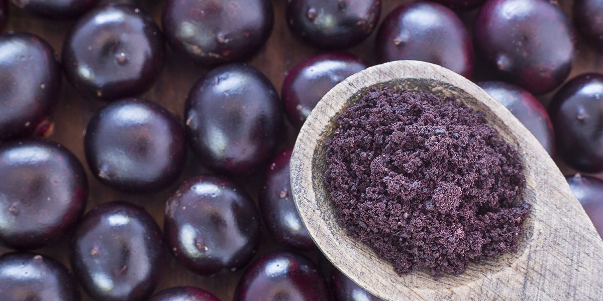 AA-Pharmachem-Acai-Berry Acai Berry