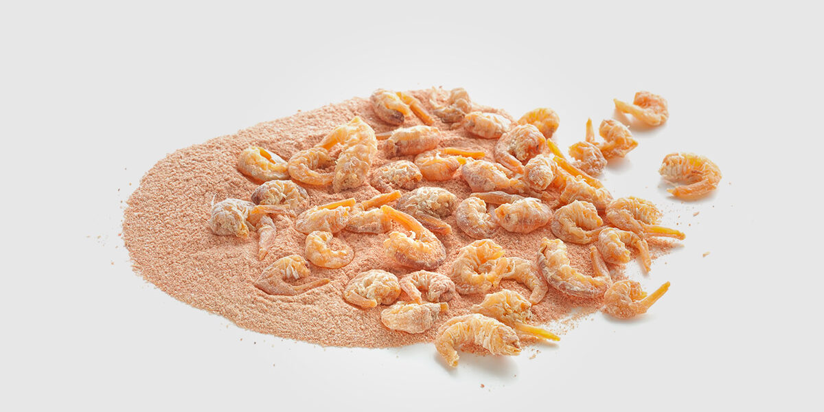 AA-Pharmachem-Chitosan Chitosan